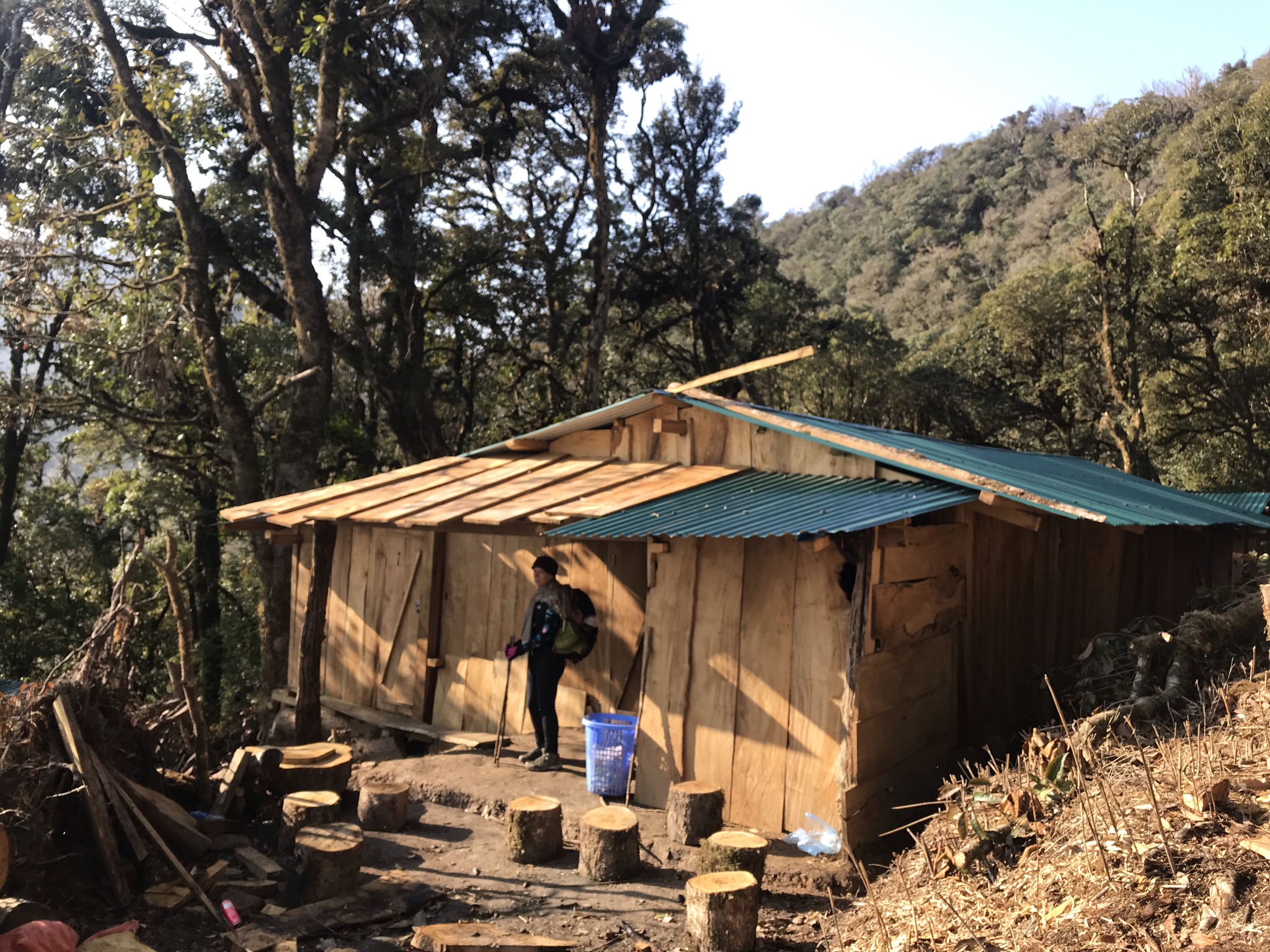 Hut/shark in Ta Xua mountain